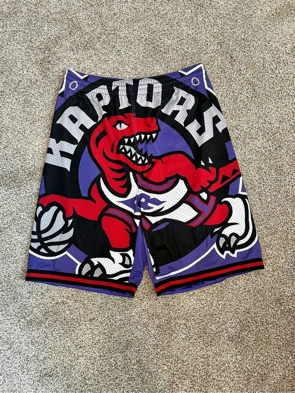 Mitchell & Ness Toronto Raptors 1998-99 Hardwood Classics Swingman Shorts